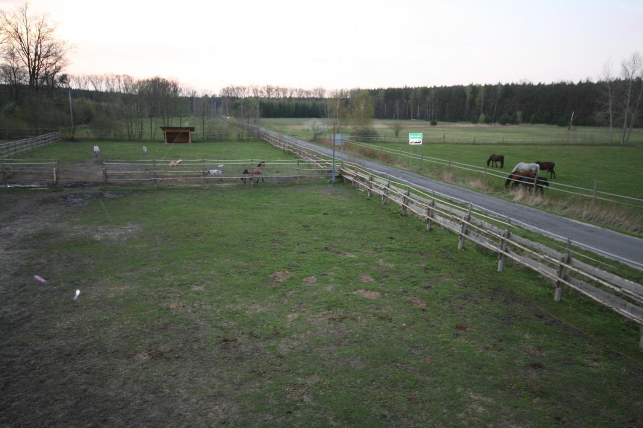 Lesniczowka Grabczok Apartment Exterior photo